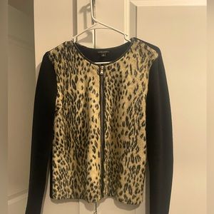 Ann Taylor Cheetah print